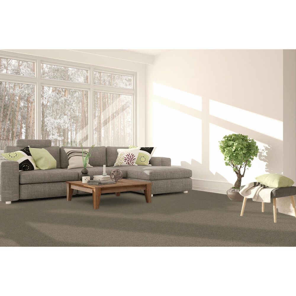 Dream Weaver Natural Attraction Carpet in Regal, , large