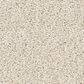 Philadelphia Champagne Taste I Carpet in Natural, , large