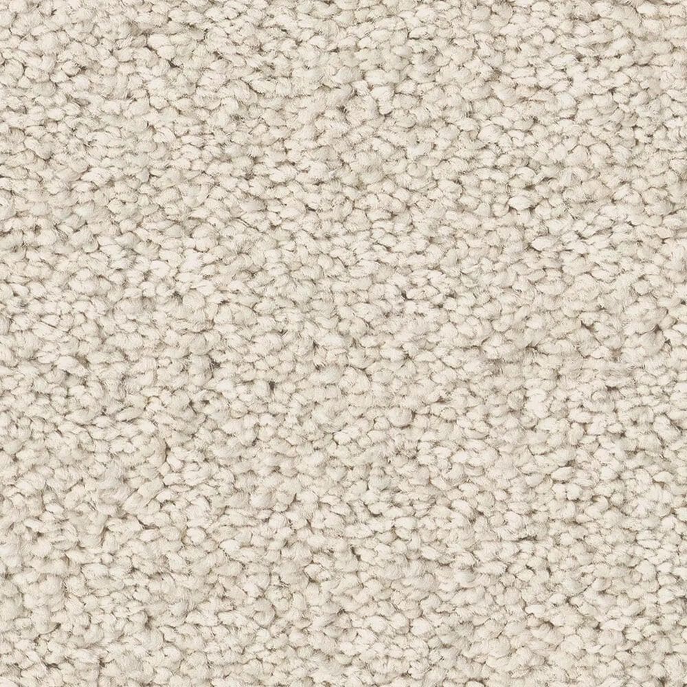 Philadelphia Champagne Taste I Carpet in Natural, , large