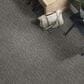 Shaw Simply the Best Big Easy Carpet in Dirt Road, , large