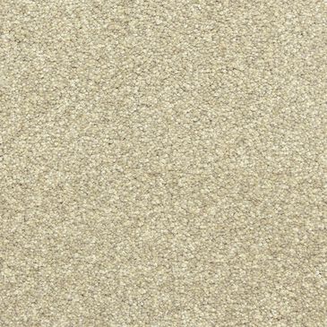 Dixie Home Simplicity Carpet in Marble, , large