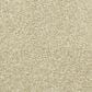 Dixie Home Simplicity Carpet in Marble, , large