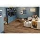 Shaw Pet Perfect Torchwood 7" x 60" Luxury Vinyl Plank, , large