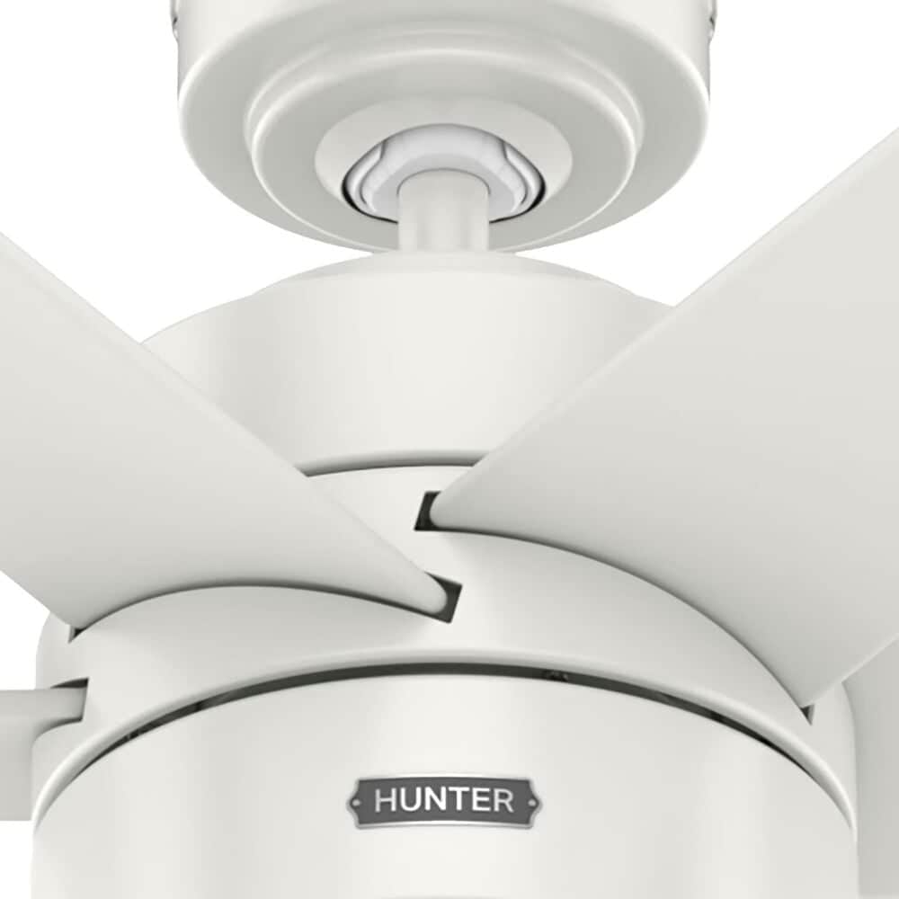 Hunter Solaria 72&quot; Outdoor Ceiling Fan with LED Light in Fresh White, , large