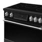 Thor Kitchen Gordon Ramsay 6 Cu. Ft. Professional Induction Range with Stainless Steel Handle Kit in Black, , large
