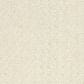 Shaw Alluring Disposition Carpet in Ivory Paper, , large