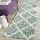 Safavieh Dallas Shag SGD257C-26 2"3" x 6" Seafoam/Ivory Runner, , large