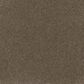 Dream Weaver Serene II Carpet in Walnut Grove, , large