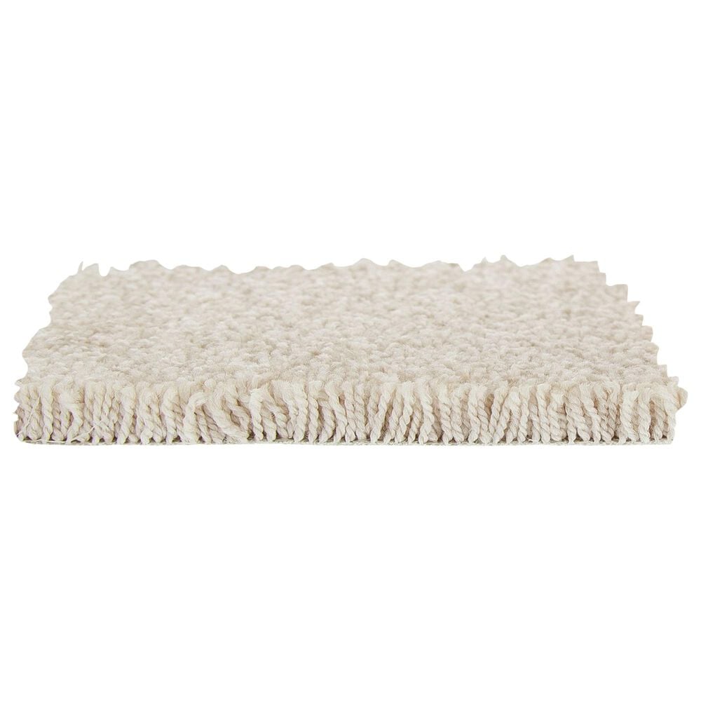 Mohawk Memorable View Carpet in Mission, , large
