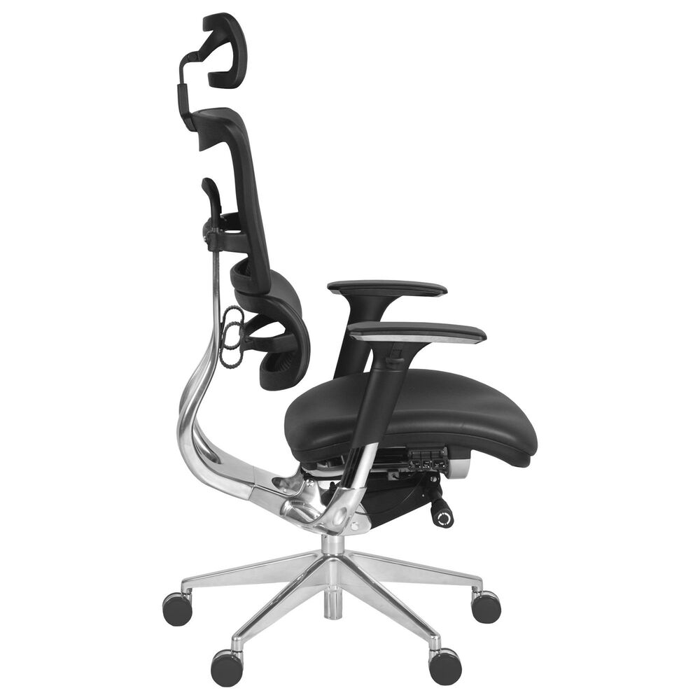 Regency Global Sourcing Omega Ergonomic Executive Office Chair in Black, , large