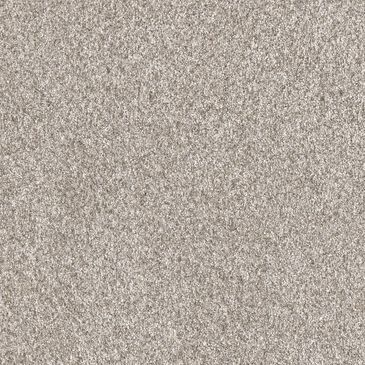 Dream Weaver Affinity IV Carpet in Elkhound, , large