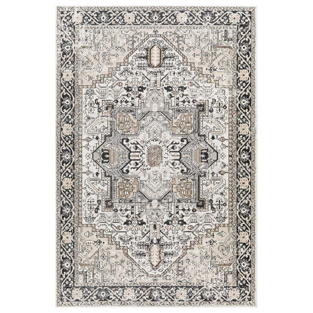 Surya Lavadora 6"7" x 9" Black, Taupe, Light Beige and Gray Area Rug, , large
