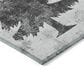 Dalyn Rug Company Wonderland WN19 1"8" x 2"6" Gray Indoor/Outdoor Area Rug, , large