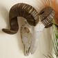 Maple and Jade 12" x 14" Farmhouse Sheep Skull Wall Decor in White and Bronze, , large