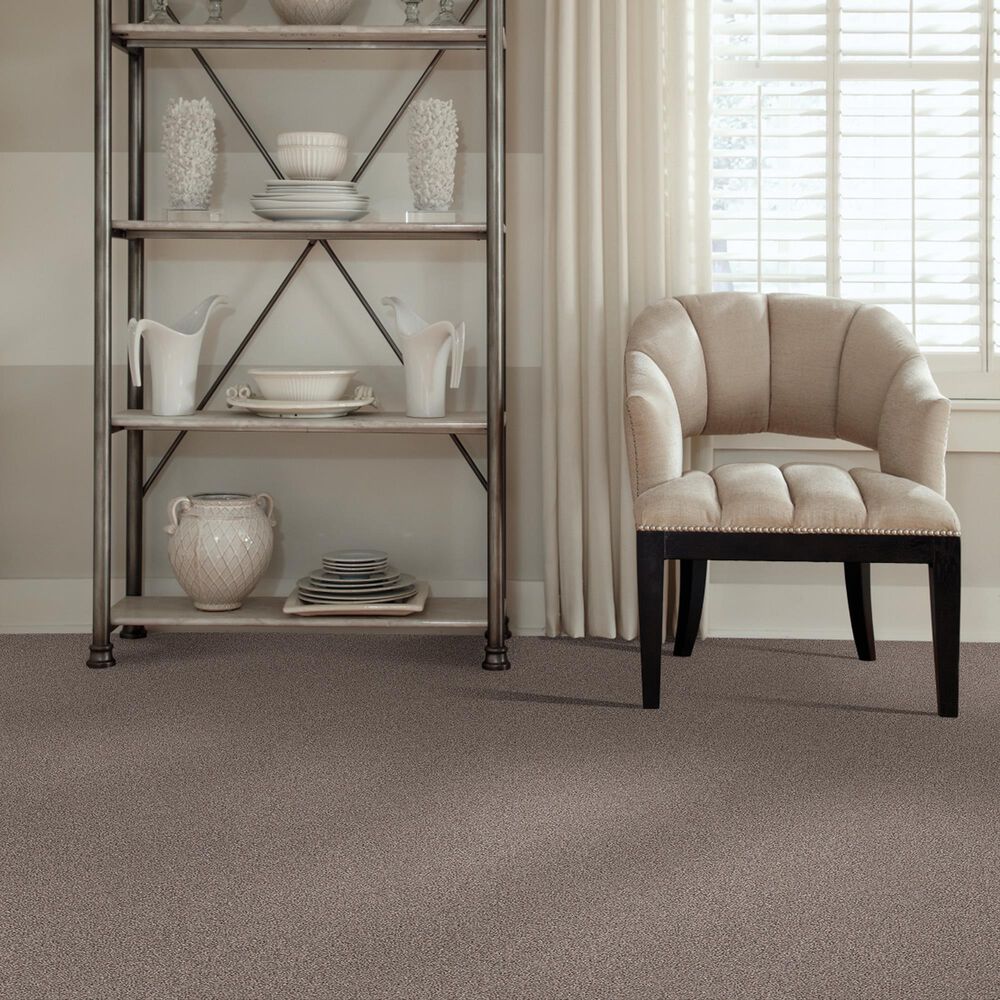 Shaw Foundations Take The Floor Tonal I Carpet in Tundra, , large