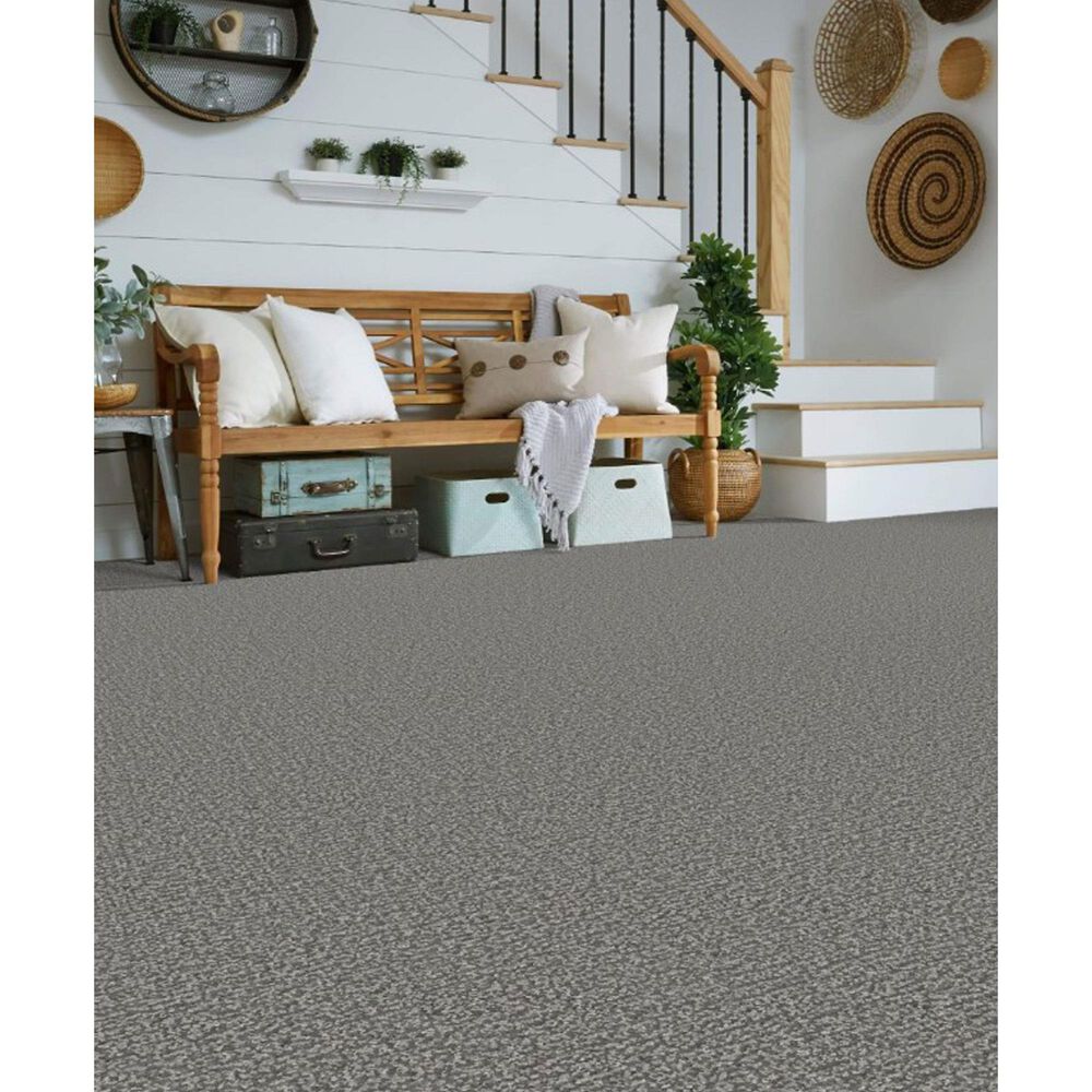 Masland Offspring Carpet in Mutt-Ropolitan, , large