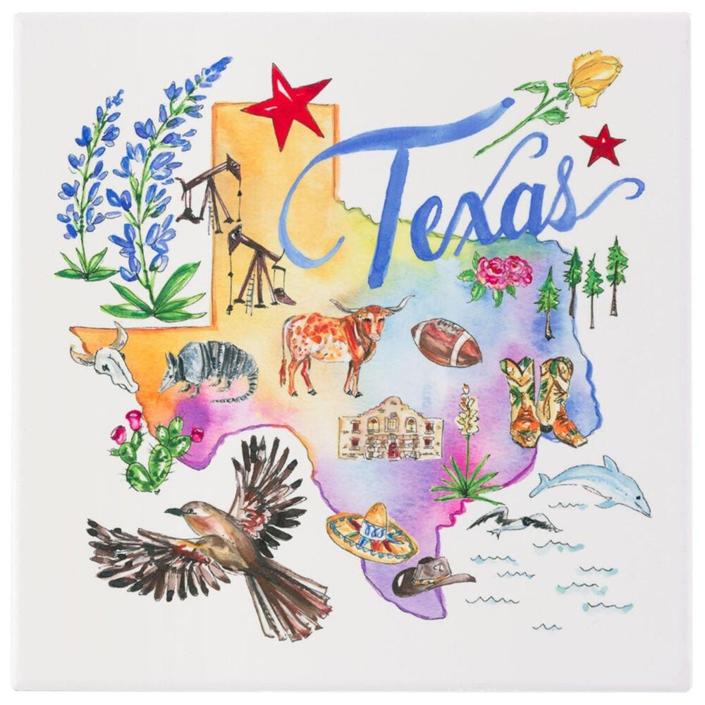 Boston International Texas State Ceramic Trivet in Multicolor, , large
