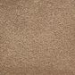 Masland Roadster Carpet in Handsome, , large