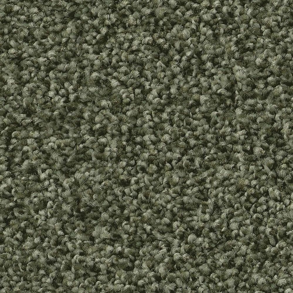 Shaw Tonal Comfort I Carpet in Olive Grove, , large