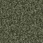 Shaw Tonal Comfort I Carpet in Olive Grove, , large