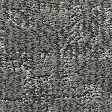 Anderson Tuftex Paw-Tay Carpet in Kendall, , large