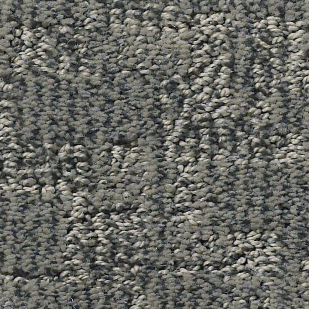 Anderson Tuftex Paw-Tay Carpet in Kendall, , large