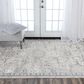 RIZZY Couture Gray 4" x 6" Area Rug, , large