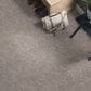 Anderson Tuftex Caress Free Spirit Carpet in Cold Winter, , large