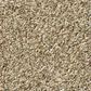 Shaw Find Your Comfort TT II Carpet in Honey Tea, , large