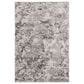Safavieh Skyler SKY186K 4" x 6" Gray and Ivory Area Rug, , large