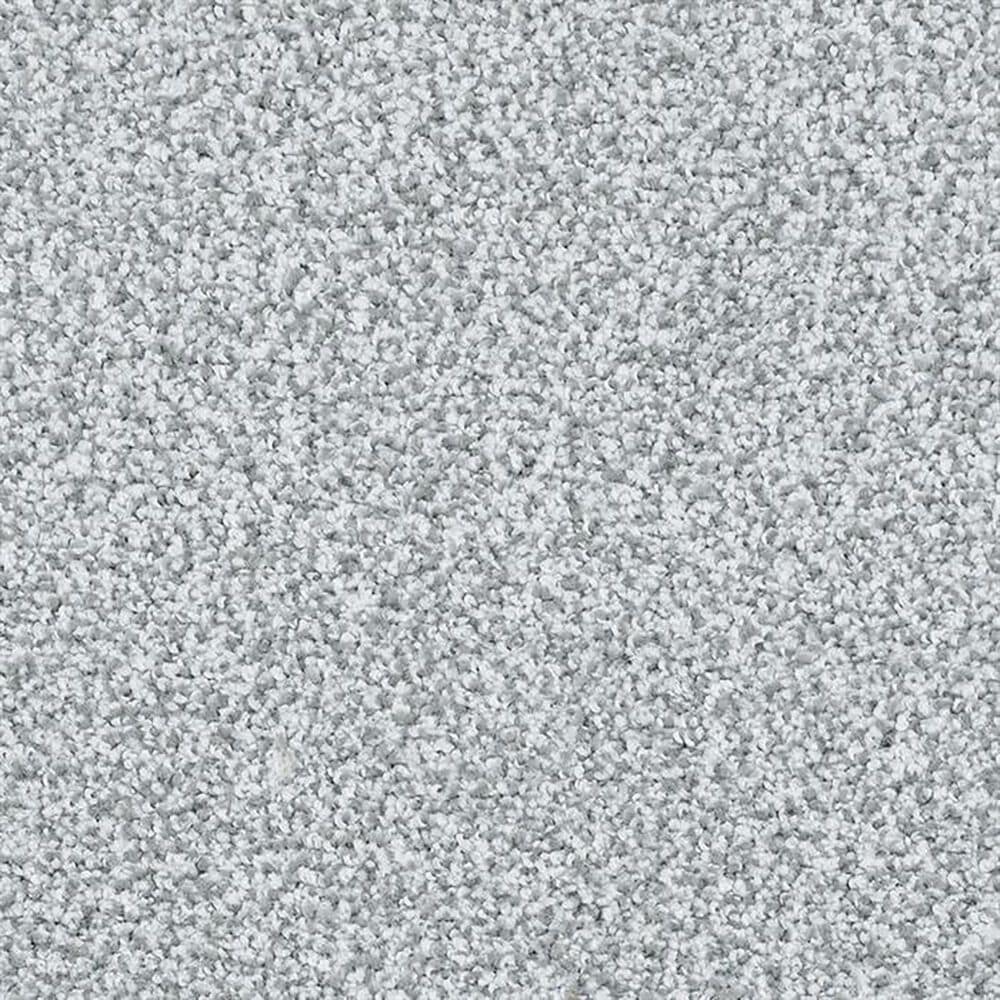 Masland Saint Luca Carpet in Permanent, , large