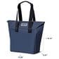 YETI Daytrip 20L Insulated Tote Bag in Aspen, Pampa and Wild Vine, , large