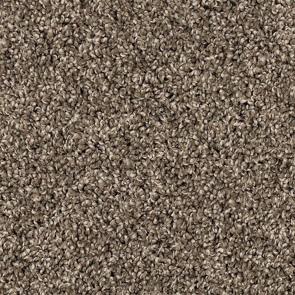 Mohawk Purrsonality III Carpet in Matte, , large