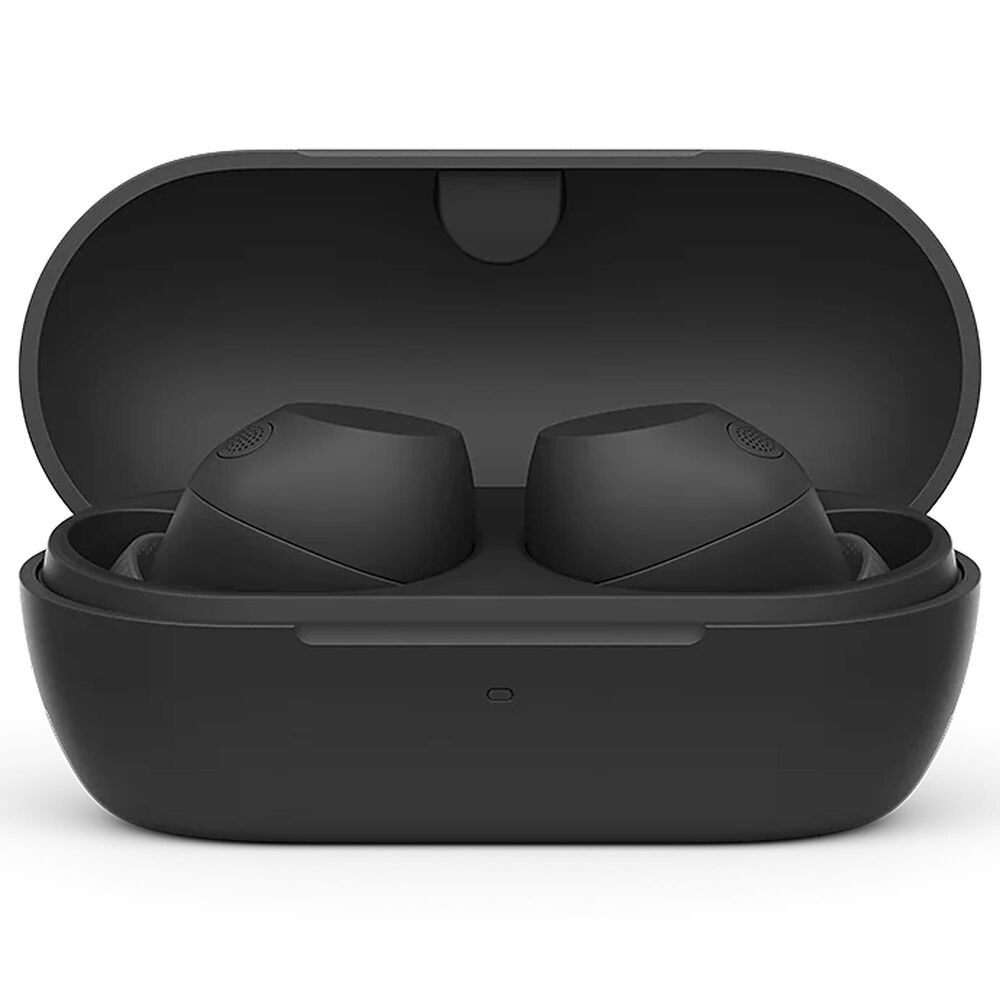 Sony True Wireless Noise Canceling Ear Buds in Black, , large