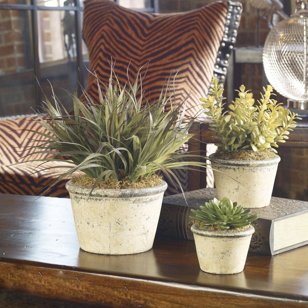 Uttermost La Costa Greenery (Set of 3), , large