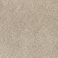 Dixie Home Bolt Carpet in Camp, , large