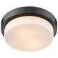Golden Lighting Multi-Family 10.5" Flush Mount in Matte Black, , large
