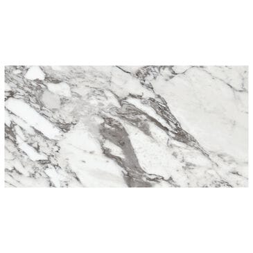 Dal-Tile Marble Attache Lavish Pearl Arabesque 24" x 48" Porcelain Tile, , large