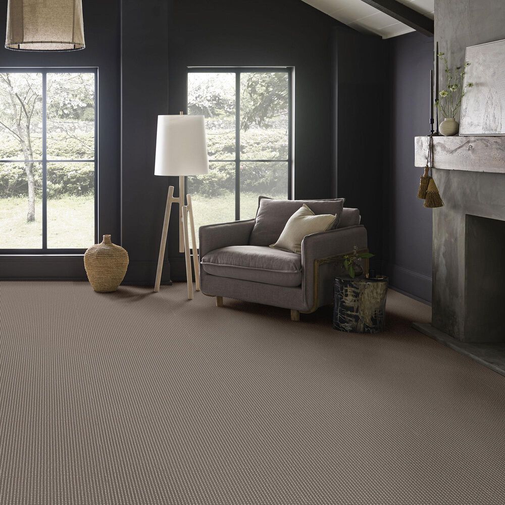 Anderson Tuftex Rhode Carpet in Riverbank, , large