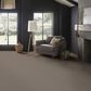Anderson Tuftex Rhode Carpet in Riverbank, , large