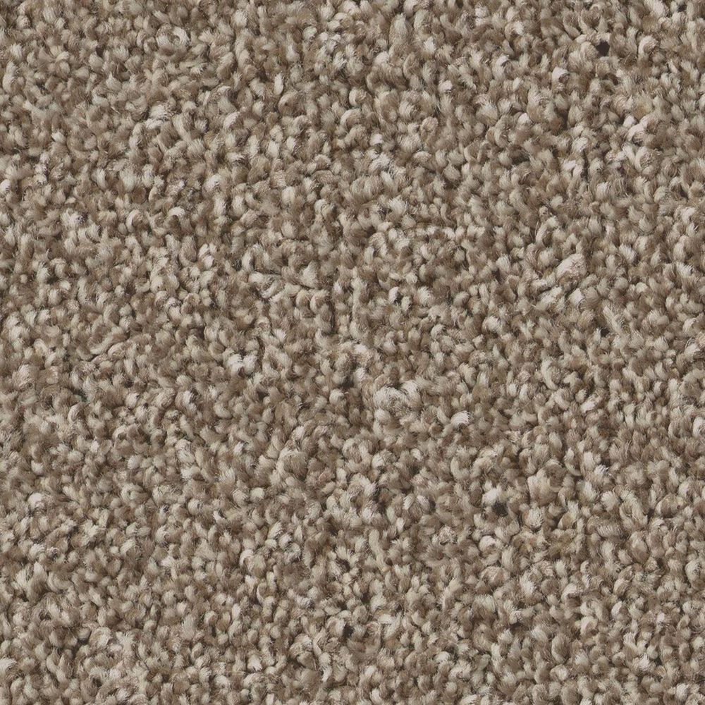 Shaw Imaginable III Carpet in Clay, , large