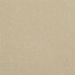 Masland Panache Carpet in Alba, , large