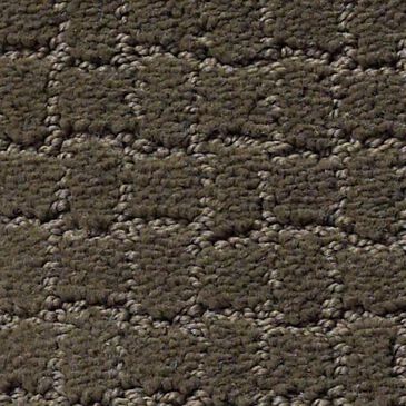 Anderson Tuftex Pawstruck Carpet in Overcoat, , large