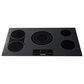 Thor Kitchen 36" Professional Electric Cooktop in Black, , large