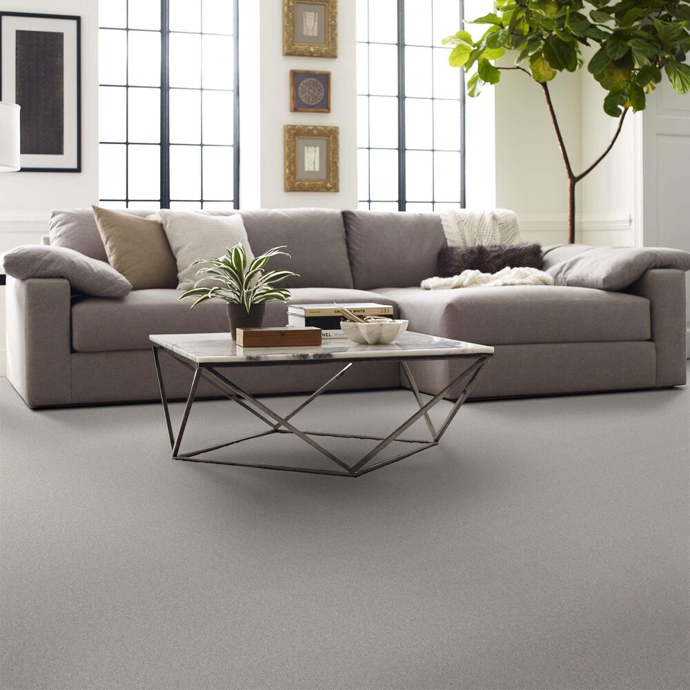 Shaw Las Cruces Carpet in Luna, , large