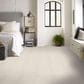 Shaw Your Comfort I Carpet in Champagne Toast, , large