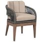 Blue River Orbit Outdoor Dining Chair with Taupe Cushion in Weathered Eucalyptus, , large