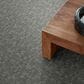 Anderson Tuftex Paw-Tay Carpet in Avon, , large