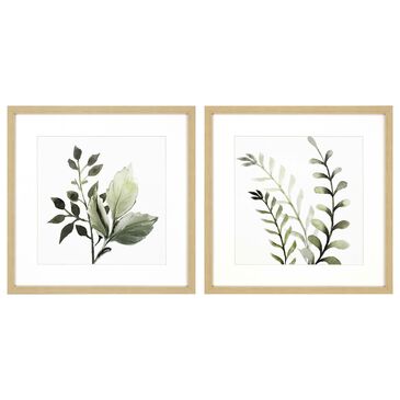 Paragon Watercolor Sage 26" x 26" Wall Art in Green (Set of 2), , large