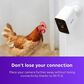 Roku Battery Camera Plus for Home Monitoring in White, , large